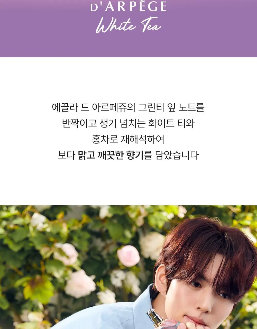 [한유진 PICK] 랑방 에끌라 드 아르페쥬 화이트 티 EDP 30ml (단품,기획) 상세페이지 8